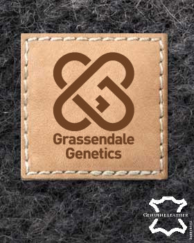 24 Etichette in pelle | Etichette in pelle personalizzate | Etichette in pelle con logo